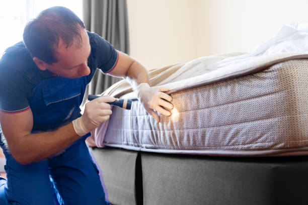 Best Fumigation Services  in Granite Falls, NC